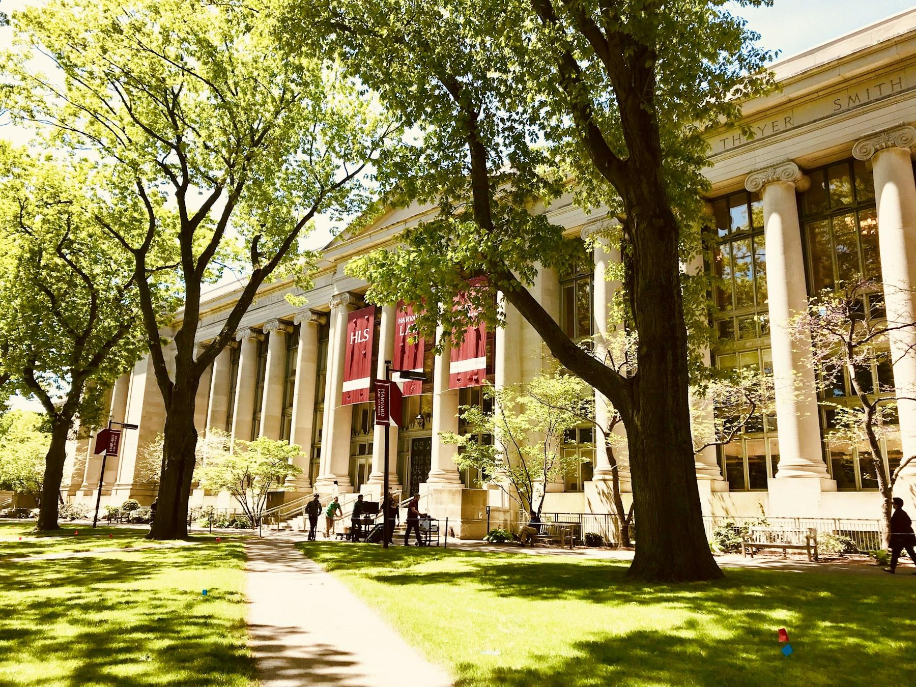 Tree-lined university building at Harvard Law School